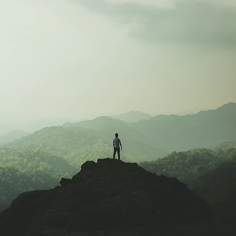 Exploring Opportunities in Temporary Healthcare Roles