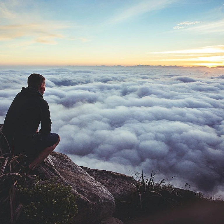 Enhancing the Learner Experience with Bersin's Insights