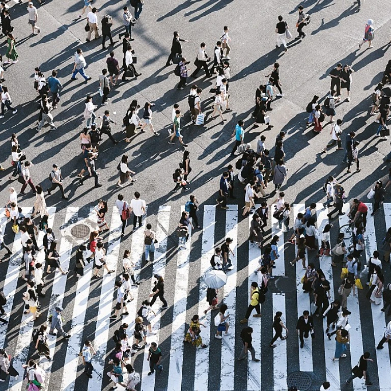 Empowering Your Career with a Skills Development Facilitator